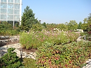Western Michigan [2009] 198